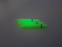 Nylon Fluorescent Short    