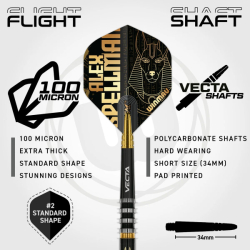 Šipky Winmau Alex Spellman Soft Tip 20 g