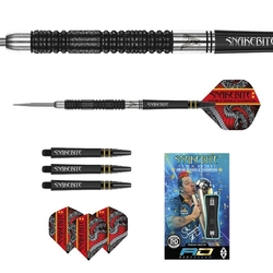 Šipky Steel Red Dragon Peter Wright Double World Champion SE 20 g