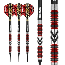 Šipky Soft Red Dragon Gerwyn Price Firebird 20 g