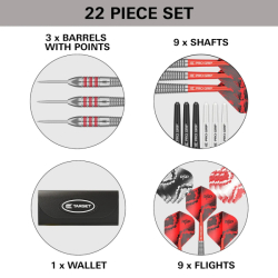 Target Darts Steel Tip Nathan Aspinall Brass 22 g