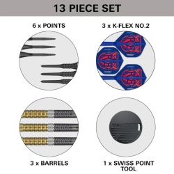 Šipky Target Soft Tip Raymond van Barneveld G6 95% 18 g