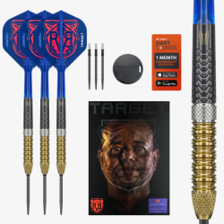 Šipky Target Steel Tip Raymond van Barneveld G6 95% Swiss 21 g