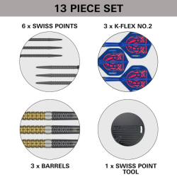 Šipky Target Steel Tip Raymond van Barneveld G6 95% Swiss 21 g
