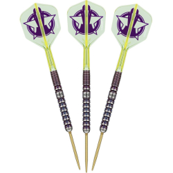 Šipky Steel Target Luke Littler World Champion 90% 23 g Swiss Point