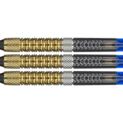 Šipky Target Soft Tip Raymond van Barneveld G6 95% 18 g