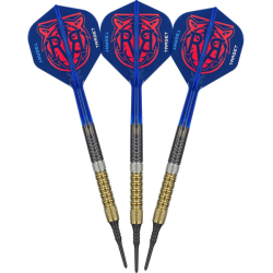 Šipky Target Soft Tip Raymond van Barneveld G6 95% 18 g