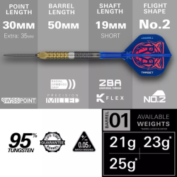 Šipky Target Steel Tip Raymond van Barneveld G6 95% Swiss 21 g