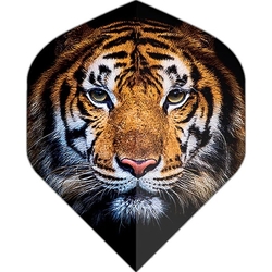Letky Designa Motley Collection No2 Std Tiger Face
